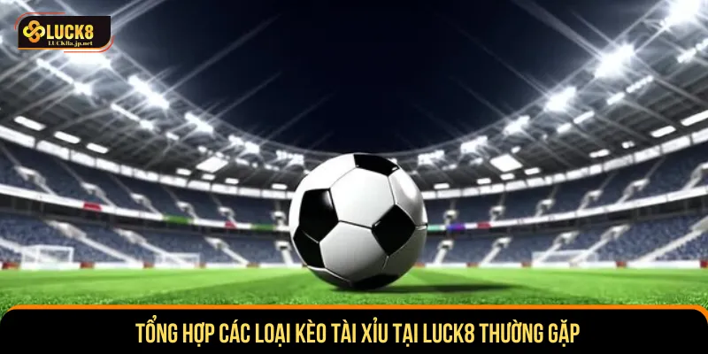 Đa dạng hình thức cược tài xỉu để người chơi áp dụng