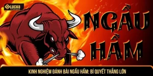Kinh nghiệm đánh bài ngầu hầm