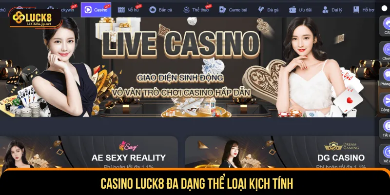 Casino Luck8 mang đến bàn cược sôi động và hấp dẫn